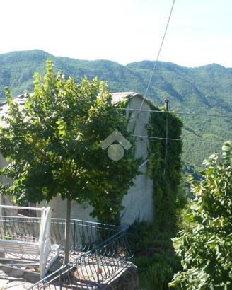 CASA INDIPENDENTE A MEZZANEGO