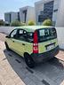 fiat-panda-neopatentati