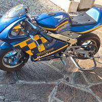Minimoto