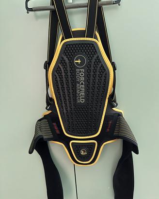 Paraschiena