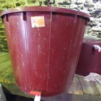 Mastelli per vino con rubinetto