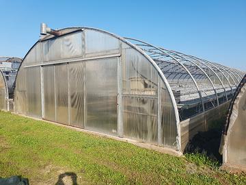 Serre per fiori o agricoltura 