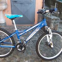 Mtb silver star 24"