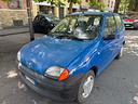 fiat-seicento-900i-cat-young