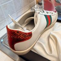 Scarpe gucci