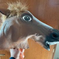 Maschera Carnevale faccia da cavallo