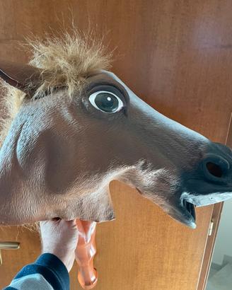 Maschera Carnevale faccia da cavallo
