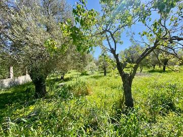 TER. AGRICOLO A ALGHERO