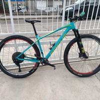 Mtb FOCUS RAVEN