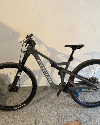 Mtb focus