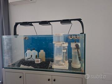 acquario marino