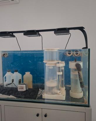 acquario marino