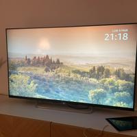 Tv sony 50 pollici + fire stick tv amazon