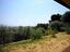 Immagine 18