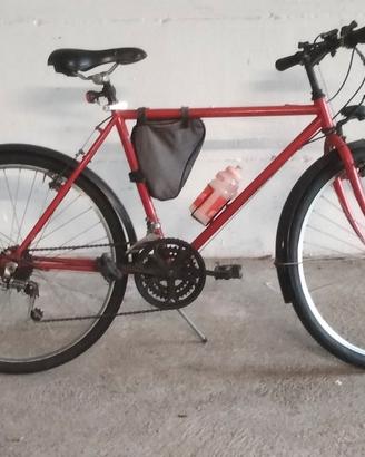 MTB cambio Shimano 