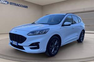 FORD Kuga 1.5 ecoblue ST-Line 2wd 120cv auto