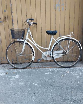 2 bici con cestino