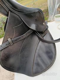 Cavallo sella équipe