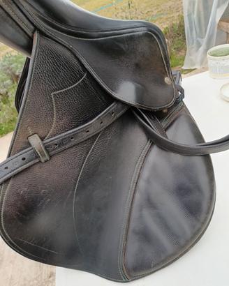 Cavallo sella équipe