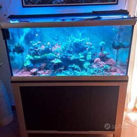 acquario marino completo 