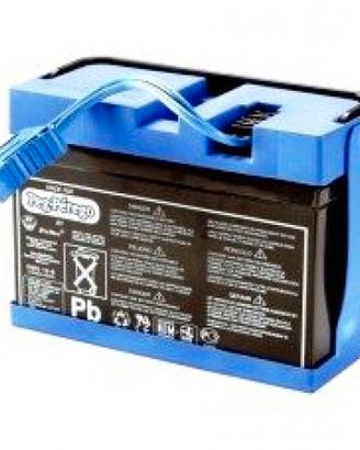 Batteria 12 Volt 8 Ah Peg Perego