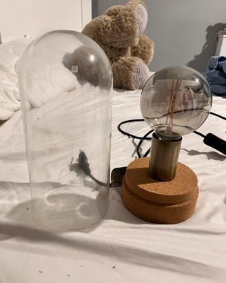 2 lampade