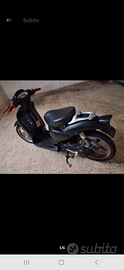 Scarabeo aprilia