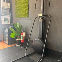 Sci xeber fitness