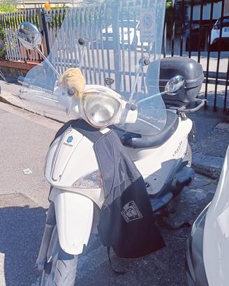 Liberty Piaggio 50 4t