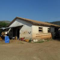 Fabbricati agricoli con terreno a Sonnino (LT)