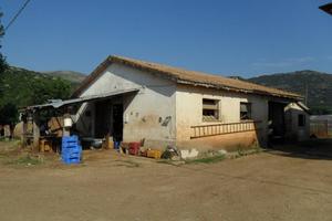 Fabbricati agricoli con terreno a Sonnino (LT)