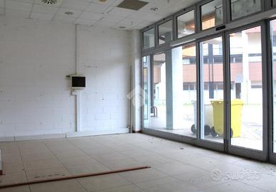 MULTILOCALE A SUZZARA