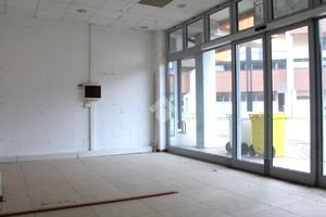 MULTILOCALE A SUZZARA