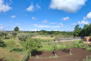 Allevamento cinofilo