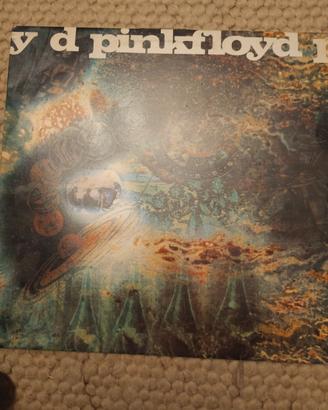 vinile Pink Floyd