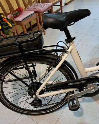 ebike