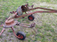 Immagine 1