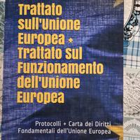 Trattato sull'Unione Europea+Trattato sul funzi.