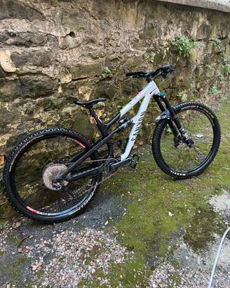 Canyon Spectral AL 5 2023