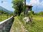 Immagine 17