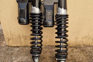 Coppia ammortizzatori