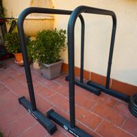 PARALLELE ALTE CALISTENICHS ERIC FLAG