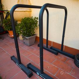 PARALLELE ALTE CALISTENICHS ERIC FLAG