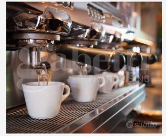 Negozio Ravenna [Cod. rif AN270MDRVCG]