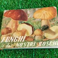 Manuale Vintage Funghi Dei Nostri Boschi Del 1964