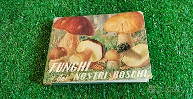 Manuale Vintage Funghi Dei Nostri Boschi Del 1964