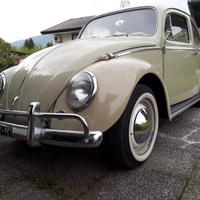 Vw maggiolino 6v 1964