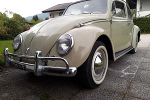 Vw maggiolino 6v 1964