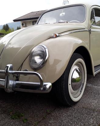 Vw maggiolino 6v 1964