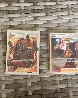 Allenatori Full Art
